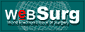 WebSurg