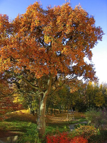 Farbenblindheit - Meist ist das Wahrnehmen von Rot und Grün beeinträchtigt ©Flickr/elbfoto Farbenblindheit - Meist ist das Wahrnehmen von Rot und Grün beeinträchtigt ©Flickr/elbfoto